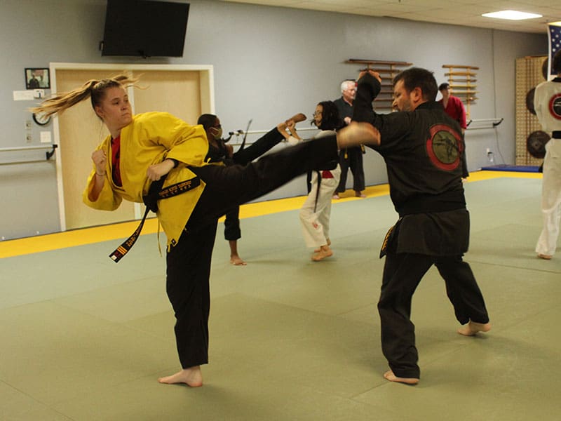 Adult Martial Arts Classes Near Me in Snellville